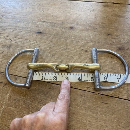 Neue schule salox veribend - schule,