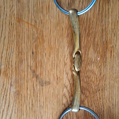 Neue schule turtle - schule,