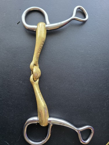 Neue schule turtle - neue,