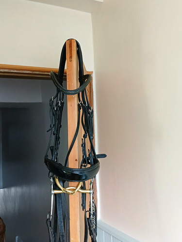 Black leather double bridle - black,