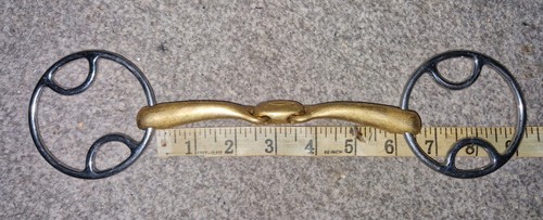 Neue schule turtle - neue,