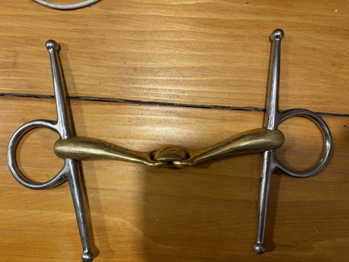 Neue schule turtle - turtle, full