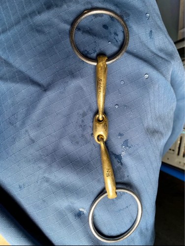 Neue schule team bradoon - neue,