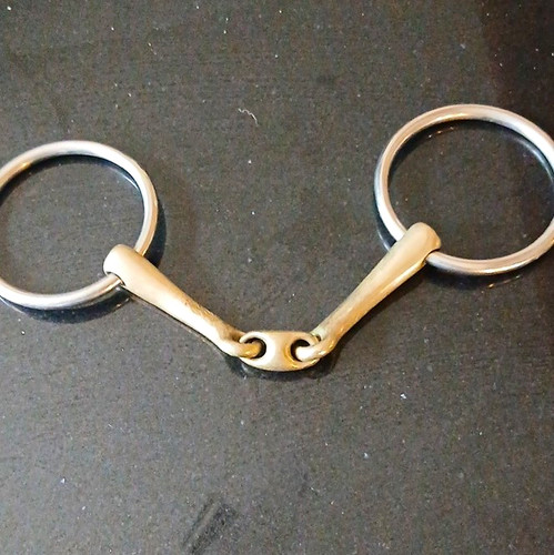 Neue schule tranz angled - schule,