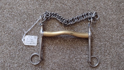 Neue schule starter - schule, weymouth